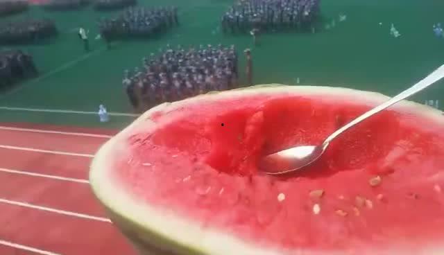 蓝枫学长吃瓜,揭秘娱乐圈幕后真相